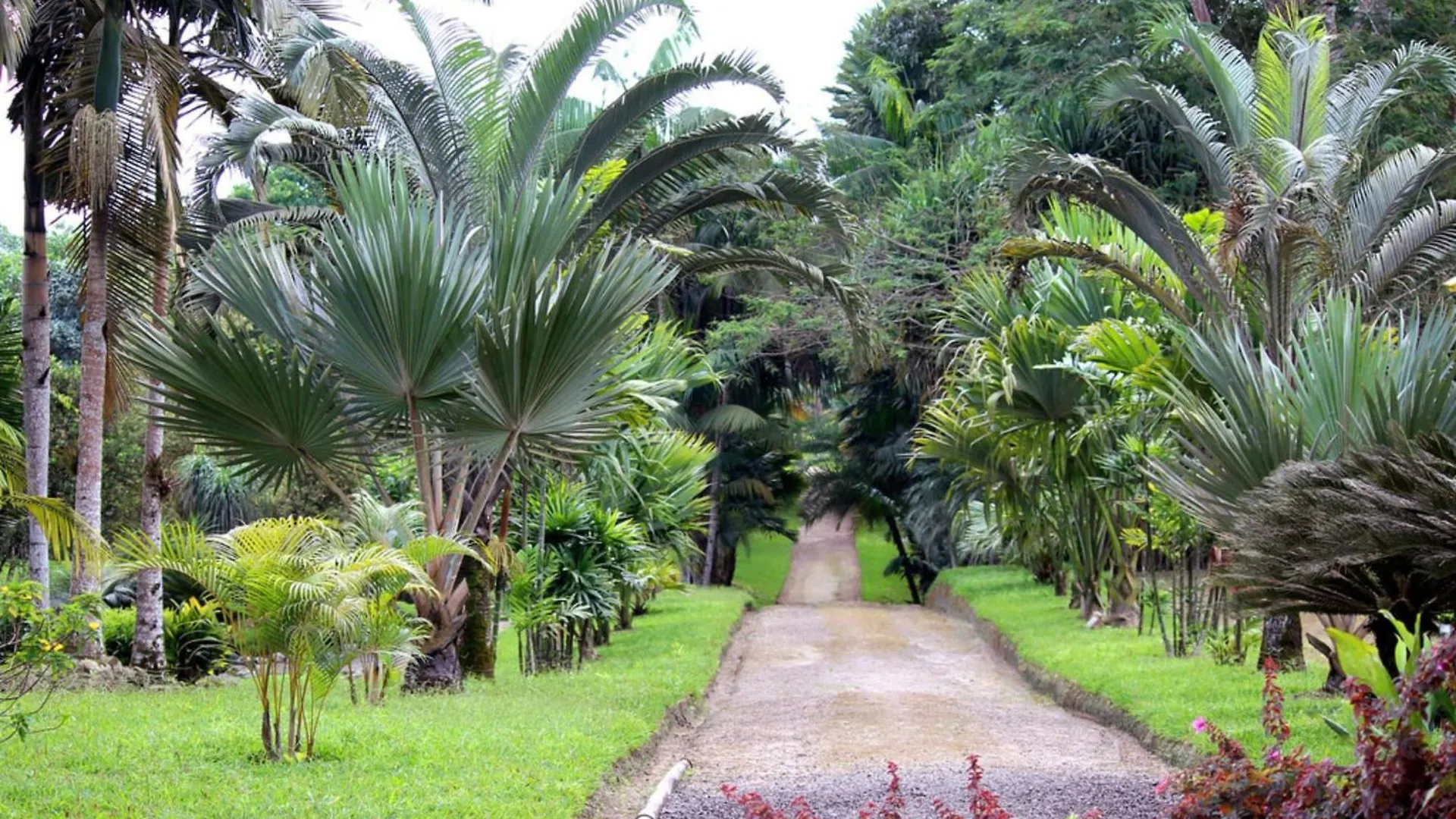 Tropical Island Apartahotel La Viva